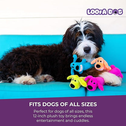 Multipet Original Loofa Dog Plush Toy - Squeaky Toy for All Dogs - Extra Soft Plush - Stuffed Animal Dog Toys for Playing - Cute Dog Pet Toy (1 Count, 12”, Random Color Surprise)