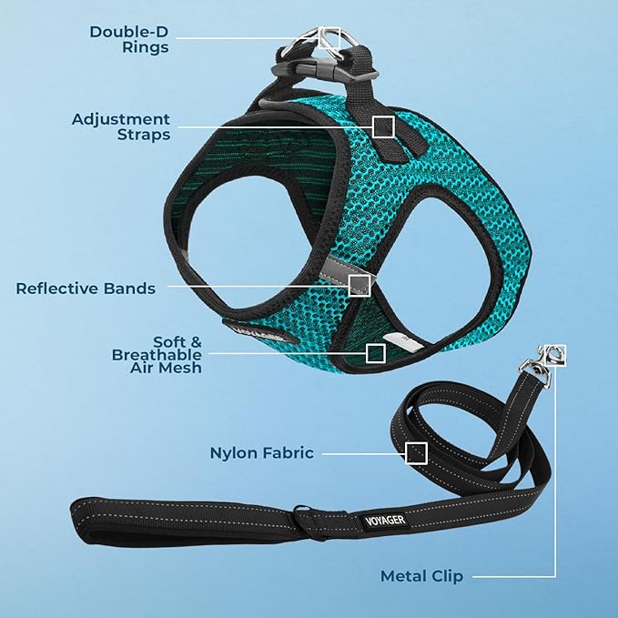 Best Pet Supplies Voyager Step-in Air All Weather Mesh Harness and Reflective Dog 5ft Leash Combo with Neoprene Handle, for Small, Medium and Large Breed Puppies - Set (Turquoise 2-Tone), Large