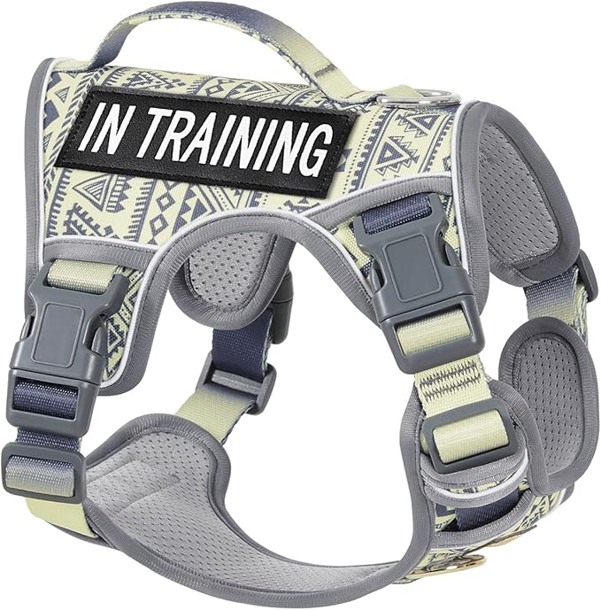 AUNZO No-Pull Dog Harness for Small Breeds, Anti-Escape Walking Reflective Adjustable Lightweight Puppy Vest, Breathable Oxford Material, Easy On/Off With Neck Buckle, Gray XS
