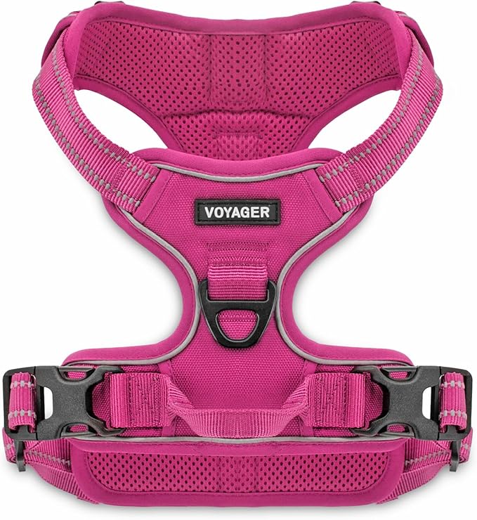 Voyager Dog Harness Dual Leash Attachment No-Pull Control Adjustable Soft but Strong Pet Harness for Medium and Large Dogs with 3M Reflective Technology, Fuchsia Nylon, M (Chest: 20-25")