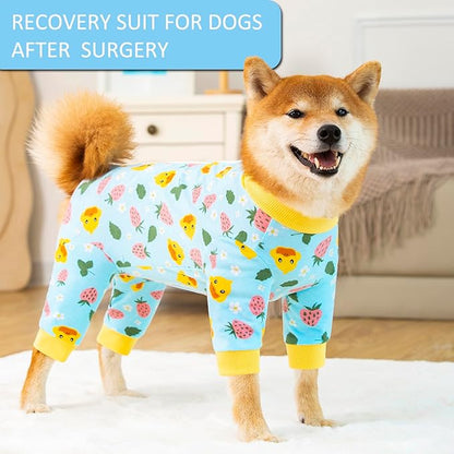 Dog Recovery Suit for Small Medium Large Dogs, Pet Onesie After Surgery Comfort Dog Bodysuit Anti Licking (Large, Blue)