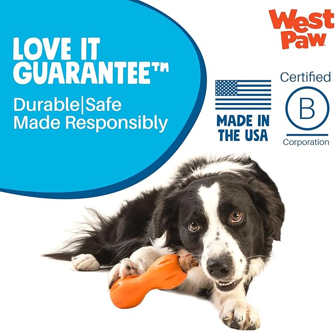 WEST PAW Qwizl Durable Zogoflex Dog Puzzle Toy for Mental Stimulation, and Enrichment - Treat Dispensing for Bully Sticks and Dental Sticks - Dishwasher Safe - Made in USA - Small - Clover