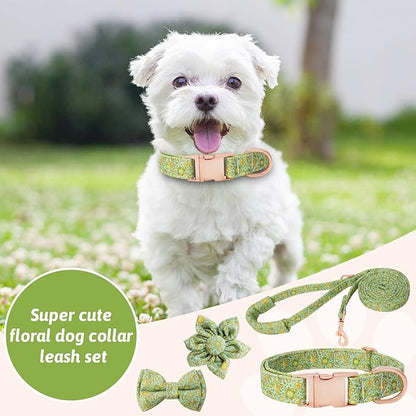 Dog Collar and Leash Set Girls Adjustable Puppy Collars with Planet Bow Tie for Small Medium Large Female Dogs, Green Planet, XS