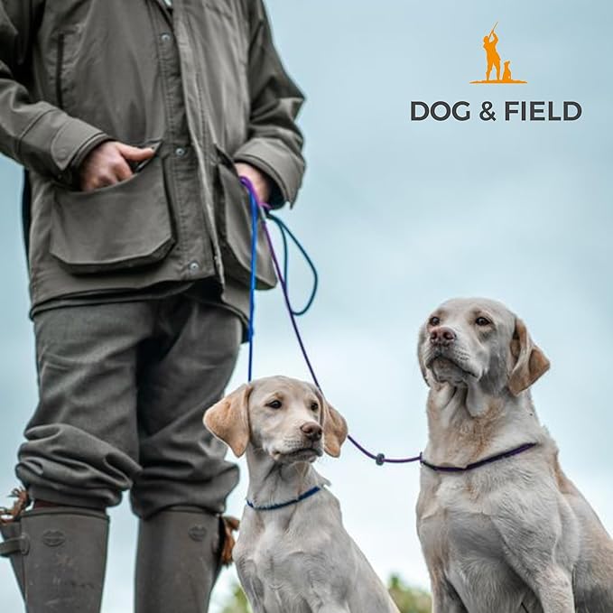 Dog & Field Signature Slip Lead for Dogs, Yellow. 4ft Lightweight Dog Slip Leash with Sliding Rubber Stopper. Training Lead for Dogs, Thin Slip Lead, No Collar or Harness Needed (Yellow)