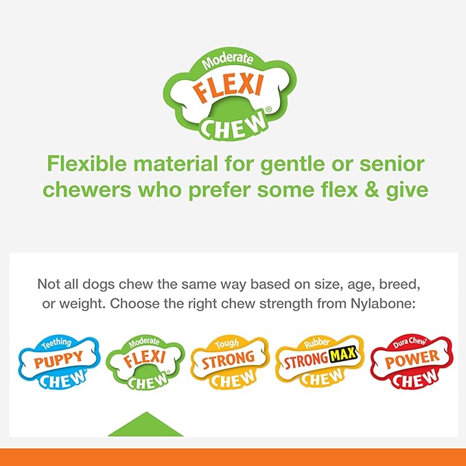 Nylabone Flex Moderate Chew Dog Toy Chicken Small/Regular (1 Count) (Pack of 4)