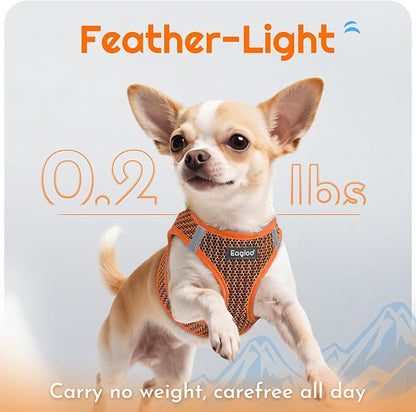 Eagloo Small Dog Harness and Leash Set, Step in Puppy Vest with Breathable Soft Mesh, Walking Reflective Pet Harness for Small Dogs, Orange, M