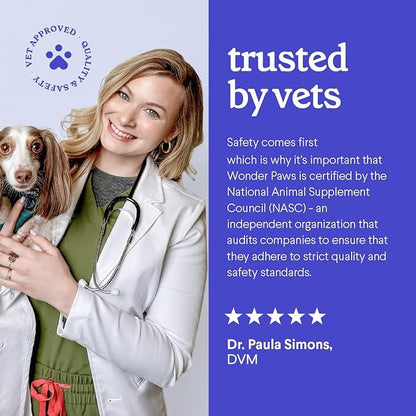 Premium Allergy & Immune Probiotics for Dogs – Allergy Relief, Itchy Skin Relief, Scratching, Digestion, Seasonal Allergies & Immune Support - Allergy Immune + Itch With Quercetin & Mushrooms - 2.12oz