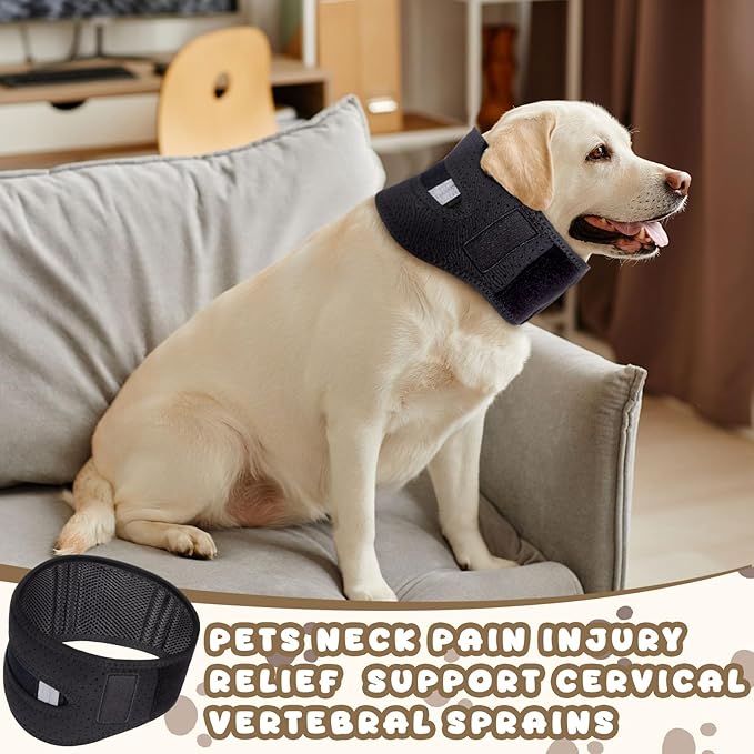 Adjustable Dog Neck Brace Offers Support for Pets Neck Pain Injury Relief Soft Support Cervical Vertebral Sprains and Instability Brace Collar for Dogs (M)