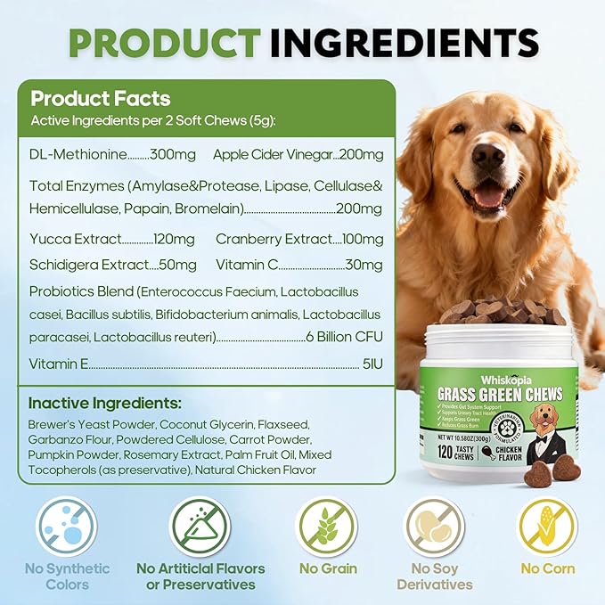 Grass Burn Spot Chews for Dogs, Dog Pee Lawn Spot Saver Caused by Dog Urine, Green Grass Chews with Gut Health Probiotics, DL-Methionine and Cranberry, Urine Neutralizer for Lawn - 120 Ct