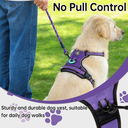 NESTROAD No Pull Dog Harness,Adjustable Oxford Dog Vest Harness with Leash,Reflective No-Choke Pet Harness with Easy Control Soft Handle for Small Dogs(Small,Purple)