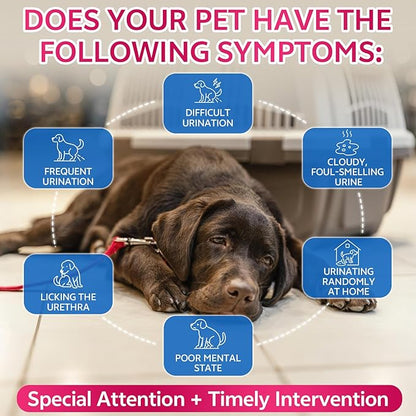 WEALLIN Cat & Dog Natural Urinary Tract Infection Treatment with Cranberry, Kidney, and Bladder Support Supplement, Support for Urinary Comfort & Bladder Flow – Pet Renal Care Support Drops