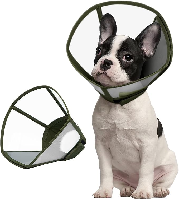 Dog Cone Collar for Dogs After Surgery,Transparent Dogs Cone Stop Licking,Foldable Dog Recovery Collars & Cones Anti-Bite Lick Protective Wound,Protective Elizabethan Collar Alternative,Green,S