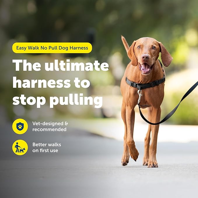 PetSafe Easy Walk Harness for Dogs - Pull-Free Walks - Patented Martingale Loop Design - Front Chest Leash Attachment - Comfort Straps - Breathable Harness Design - Medium, Charcoal/Black