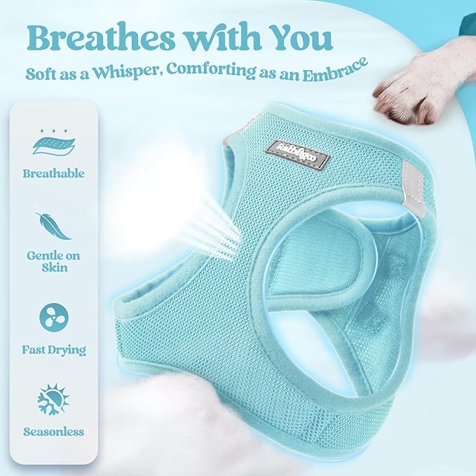 rabbitgoo Dog Harness Medium Sized and Leash Set, Step in Soft Light Puppy Vest, Breathable Mesh Pet Harness, Reflective for Safe Easy Walking, Mint Blue XXL