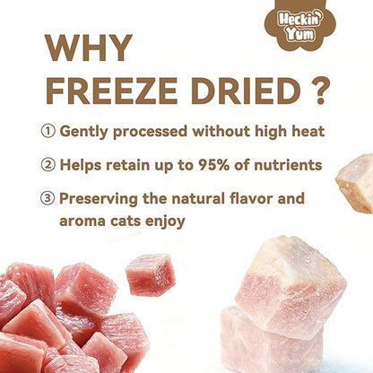 Freeze-Dried Salmon Cat Treats for Skin & Coat Health, 4oz, Single Ingredient High Protein Reward Snacks for Pets, Grain & Gluten Free