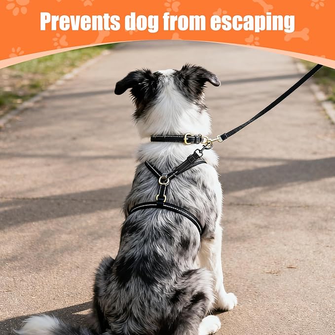 Dog Collar Safety Clip, Reflective Double-Ended Backup Connector for Harness to Collar, Adjustable Safety Clip for Prong, Pinch Collars, Prevents Escapes & Accidental Disconnection