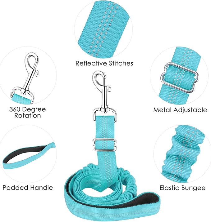 Lukovee No Pull Dog Harness and Leash Set, Soft Padded Small Dog Harness, Neck & Chest Adjustable Reflective Vest Puppy Harness with 4ft Lightweight Anti-Twist Dog Leash for Small Dogs (XS, 01-LBL)