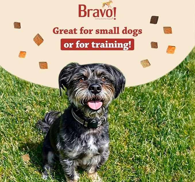 Bravo! Bonus Bites Single Ingredient Freeze Dried Raw Dog Treats, Chicken Breast, 3 Ounce, High Protein, Grain Free, Gluten Free