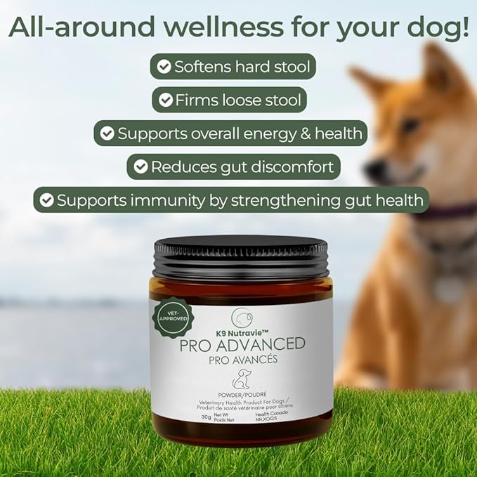 Dog Probiotic Powder for Digestive Support | 5 Billion CFU | Gut Health & Immunity Support | Mix-in Powder | 60g | Unflavoured (60g)