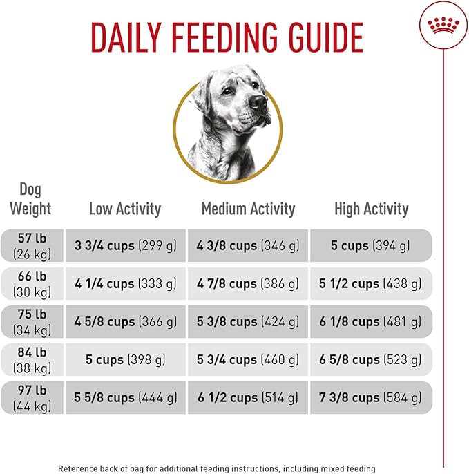 Royal Canin Labrador Retriever Adult Dry Dog Food, 30 lb bag