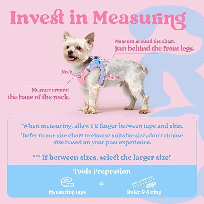 rabbitgoo Small Dog Harness, Step-in Soft Mesh Puppy Vest with Safety Buckle, Breathable Reflective Pet Harness for Small Sized Dogs, Blue & Light Pink S