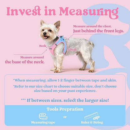 rabbitgoo Small Dog Harness, Step-in Soft Mesh Puppy Vest with Safety Buckle, Breathable Reflective Pet Harness for Extra Small Dogs, Blue & Light Pink XXS