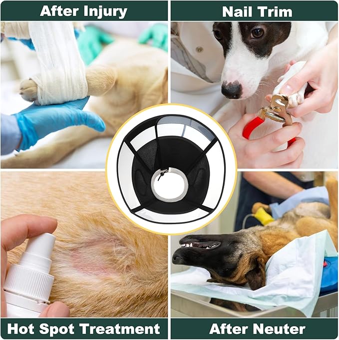 Soft Dog Cone Collar for Large Dogs, Mesh Windows Transparent E Collar for Dog, Anti-Bite Lick Wound Healing After Surgery Neuter Safety Practical Comfy Plastic Cone (Black, M)