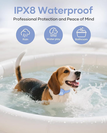 Jugbow Dog Training Collar - 4200FT Remote Dog Collar with 3 Training Modes, Dog Collars for Small Dogs with Security Lock & IPX8-Waterproof, Rechargeable E-Collar for Mini Small Medium Dogs (Blue)