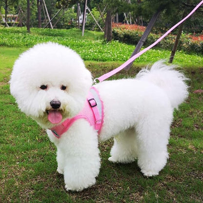 FEimaX Dog Harness and Leash Set for Walking, Soft Mesh Adjustable Easy Control Lightweight Cat Vest Harnesses with Reflective Strips, Escape Proof Small Dogs Cats Vests (Pink, X-Large)
