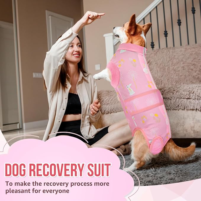 Lukovee Recovery Suit for Dogs, Zipper On Recovery Suit for Female Male Dog, Onesie Abdominal Wounds Cone E-Collar Alternative Prevent Licking Spay Recovery Suit (XS, 2PI)