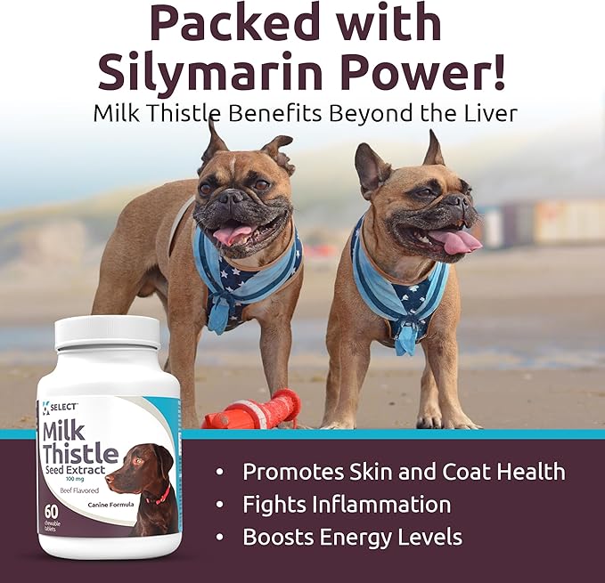 Milk Thistle Dog Liver Supplement 100mg | Liver Support & Detox for Dogs | 60 Beef Flavored Tablets | Canine Liver Health Formula | Natural Milk Thistle for Dogs Liver Support
