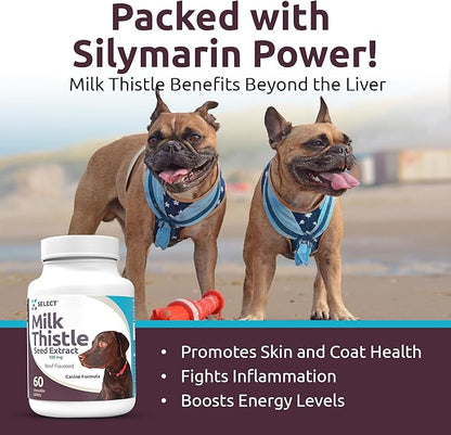 Milk Thistle Dog Liver Supplement 100mg | Liver Support & Detox for Dogs | 60 Beef Flavored Tablets | Canine Liver Health Formula | Natural Milk Thistle for Dogs Liver Support