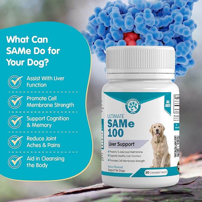 Wanderfound Pets Same 100 Liver Support for Dogs - Same S-Adenosyl-L-Methionine Hepatic Supplement for Liver & Brain Support - Bacon Flavored Sam E, Manufactured in the USA - 30 Chewable Tablets