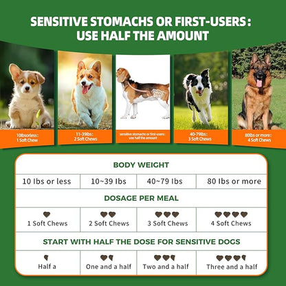 Probiotic Chews for Dogs, Probiotics Soft Chews for Dogs Digestive Health, Daily Probiotics for Dogs with Digestive Enzymes, Dog's Daily Supplement, Dog Food Companion (Chicken Flavor 100Ct)