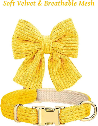 Dog Collar and Leash Set with Bowtie, Girl Dog Collars Metal Buckle Adjustable for Small Medium Dogs (Yellow, S: Neck 10"-16" Leash 5 FT)