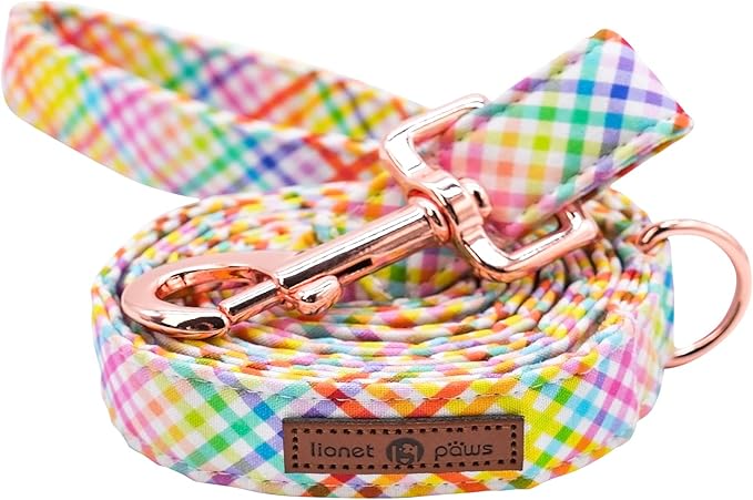Lionet Paws Dog Leash and Matching Collar for Small, Medium, Large Dogs