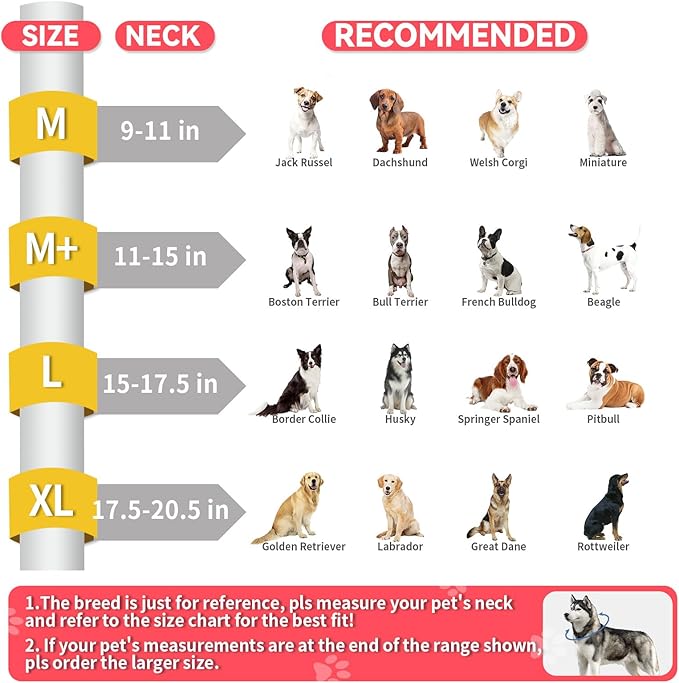 Upgraded Inflatable Dog Cone Collar for Dogs After Surgery,Adjustable Soft Elizabethan Collar for Medium Large Dogs,Comfortable Dual-Ring Dog Cone with Detachable Transparent Anti-Licking Shield（M