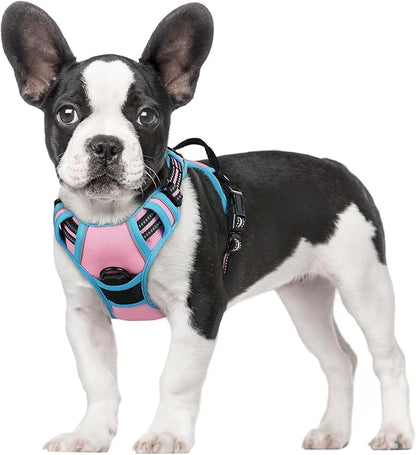 rabbitgoo Dog Harness No Pull with 2 Leash Clips, Adjustable Soft Padded, Reflective Oxford No Choke Pet Vest with Easy Control Handle for Small Dogs, Pink & Blue, S