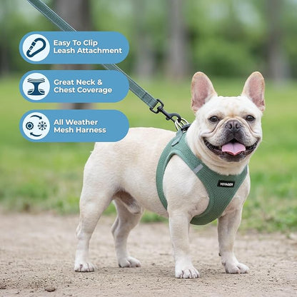 Best Pet Supplies Voyager Step-in Air All Weather Mesh Harness and Reflective Dog 5ft Leash Combo with Neoprene Handle, for Small, Medium and Large Breed Puppies - Set (Moss Green), Medium