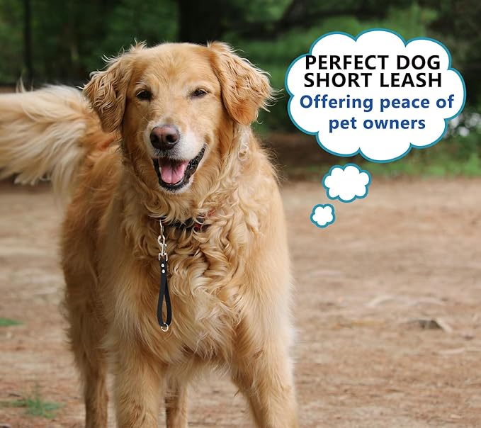 Short Dog Leash - 9 Inch Dogs Lead Green Grab Tab Heavy Duty Waterproof PVC Dog Training Traffic Leashes for Safety Control Behavior Correction Hiking Backup & All Breeds(Green, 9")