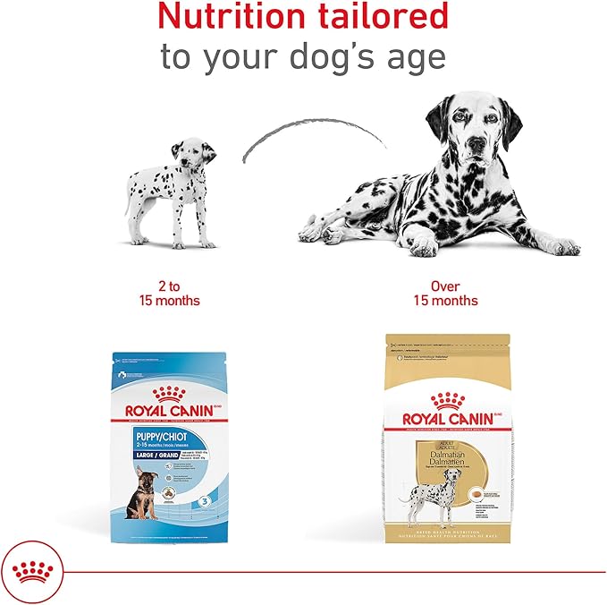 Royal Canin Breed Health Nutrition Dalmatian Adult Dry Dog Food, 30 lb Bag