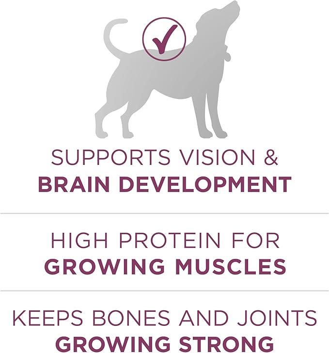 Purina ONE Puppy Food, High Protein Formula | Natural Ingredients | Added Vitamins | 8 lb Bag | Pack of 2