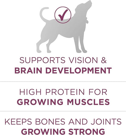 Purina ONE Puppy Food, High Protein Formula | Natural Ingredients | Added Vitamins | 8 lb Bag | Pack of 2