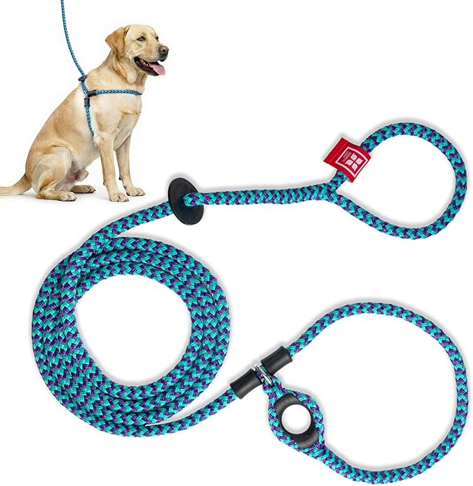 Harness Lead No Pull Dog Harness and Leash Set, Anti Pull Dog Harness, One-Piece Cushioned Rope Safely Prevents Escaping and Pulling (Medium/Large, Purple/Turquoise)