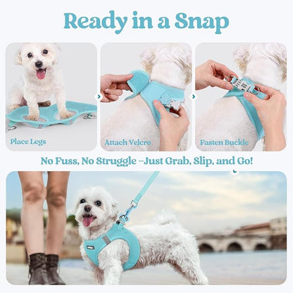 rabbitgoo Dog Harness Small Sized and Leash Set, Step in Soft Light Puppy Vest, Breathable Mesh Pet Harness, Reflective for Safe Easy Walking, Mint Blue XS