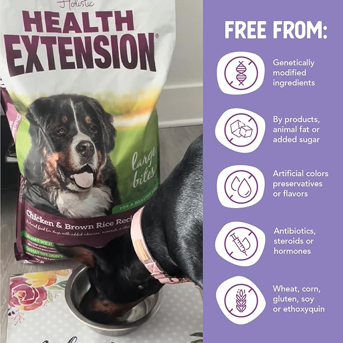 Health Extension Large Bites Chicken & Brown Rice Dry Dog Food, Protein-Rich Formula with Probiotics & Essential Nutrients for Large Breeds (30 lb)