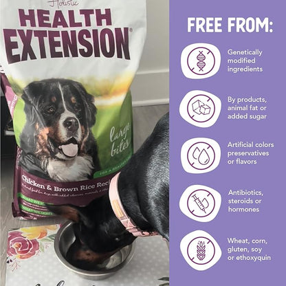 Health Extension Large Bites Chicken & Brown Rice Dry Dog Food, Protein-Rich Formula with Probiotics & Essential Nutrients for Large Breeds (30 lb)