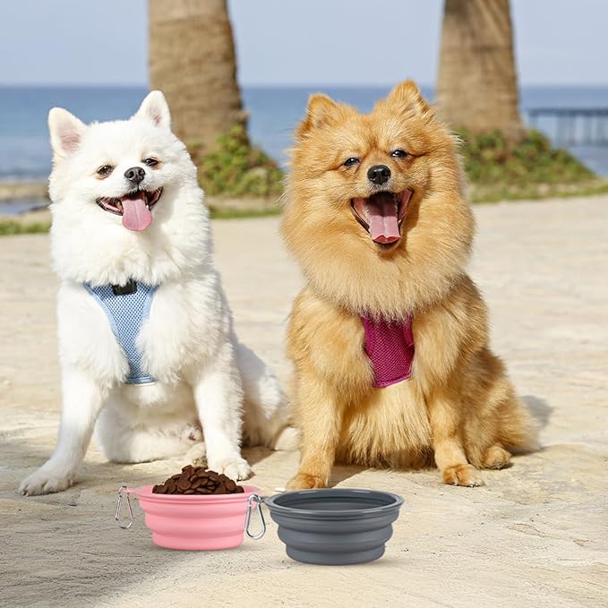 Kytely Collapsible Dog Bowls for Travel, 2Pack Dog Portable Water Bowl, Foldable Pet Food Bowl with Clasp, Pet Cat Feeding Cup Dish for Traveling, Walking, Hiking