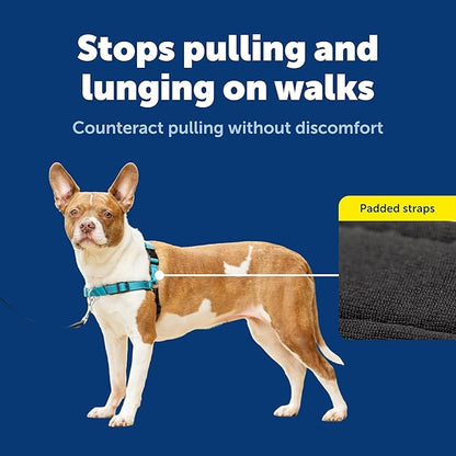 PetSafe Easy Walk Deluxe Dog Harness, No Pull Dog Harness – Perfect for Leash & Harness Training – Stops Pets from Pulling and Choking on Walks – Medium, Ocean