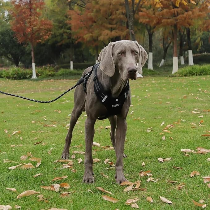 Dog Harness No Pull Adjustable Reflective,for Medium and Large Small Dog with Leash 59.06in (Black, XL)